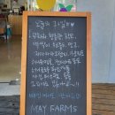 메이팜스대전 | [메이팜스] 대전 예단/명절 과일바구니 내돈내산 후기