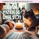 펫타로 강의 이미지