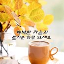 타이레놀효능~~~~(능) 이미지