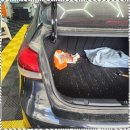 차프로세차 이미지