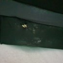 산스크린골프연습장 이미지