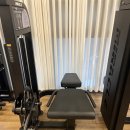 신석초등학교 | [공지] 다리 뻐근함 줄이는 레그컬 마포역헬스장에서 이렇게 해보세요 여성전용헬스장 피트니스랩 용강점