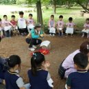 홍천국유림관리소 이미지