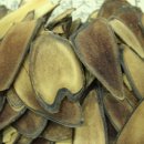 대추나무한의원 이미지