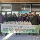 네네치킨교동점