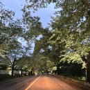 용인시립골드 테니스장 이미지