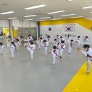 국가대표불무태권도 이미지