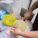 해피팜농장 | 멜론 맛집 해피팜 메론 추천