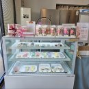 11545-10-00-16 | 파주 운정 디저트 맛집 너에게 마카롱 답례품 선물 포장 10가지 맛 솔직 후기