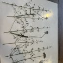 외할머니의 부엌 이미지