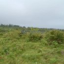 창천목장 이미지