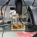 나를 위한 힐링 도자기 만들기 | 부천부케말리기 수피오니 공방에서 나를 위한 시간 하바리움 만들기 후기