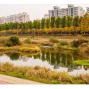 갑천우안도로 이미지