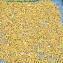 대신건재 이미지