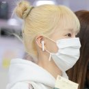 아모아 이미지