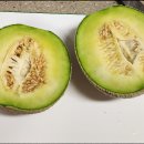 멜론 이미지