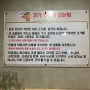 오늘도한우월성 이미지