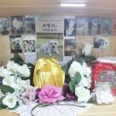 (주)마루펫 이미지