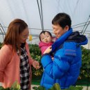 이루리농장 이미지