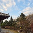 숲속 아지트 이미지