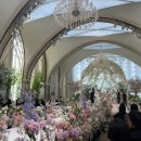 네스트웨딩홀뷔페3 | 더링크 웨딩홀 뷔페 하객만 3번 간 후기 (가든홀, 화이트홀 한줄평)