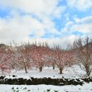 설경 이미지