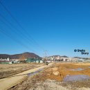 은비치농장 | [25개월 아기랑] 파주 코알라딸기농장 딸기따기 체험 / 서울근교 딸기농장