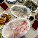 삼척횟집 | 삼척항 활어회센터 부미수산 포장 후기 삼척 횟집 추천