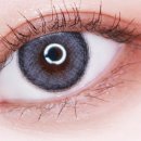 렌즈베리 이미지