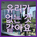 대림크리닝 | 인천 아파트 유리창 창문 청소 비용과 고객 후기(연수 대림아파트)