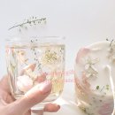 소소리프로젝트