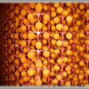 문필농장 이미지