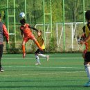 모란야구장 이미지