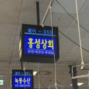 홍성상회 | 노량진 방어 맛집 홍성상회 회포장 n번째 내돈내산 후기