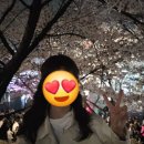 [청담] '쎄조니', 신선한 재료와 느림의 미학이 담긴 이탈리안 레스토랑 내돈내산 솔직후기