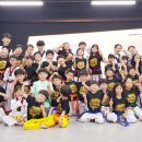 새미래 소나무향기태권도 이미지