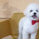 산책가까 이미지