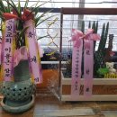 대손협동조합 이미지