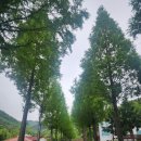 카페카사비앙카 이미지