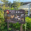 꼬꼬체험장 이미지