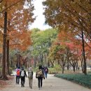 송정제방 이미지