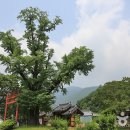 덕천 이미지