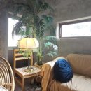 속천로 | [진해 속천] 속천항 바로 앞 감성카페, "푸떼즈" 솔직후기