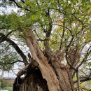 연일읍 중명리 이미지