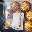 한스 강아지방 이미지