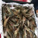 달서별빛캠프 이미지
