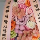 달빛꽃담