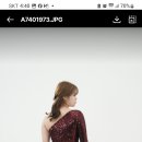 숄든