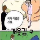 부타 이미지