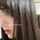 헤어블리 이미지